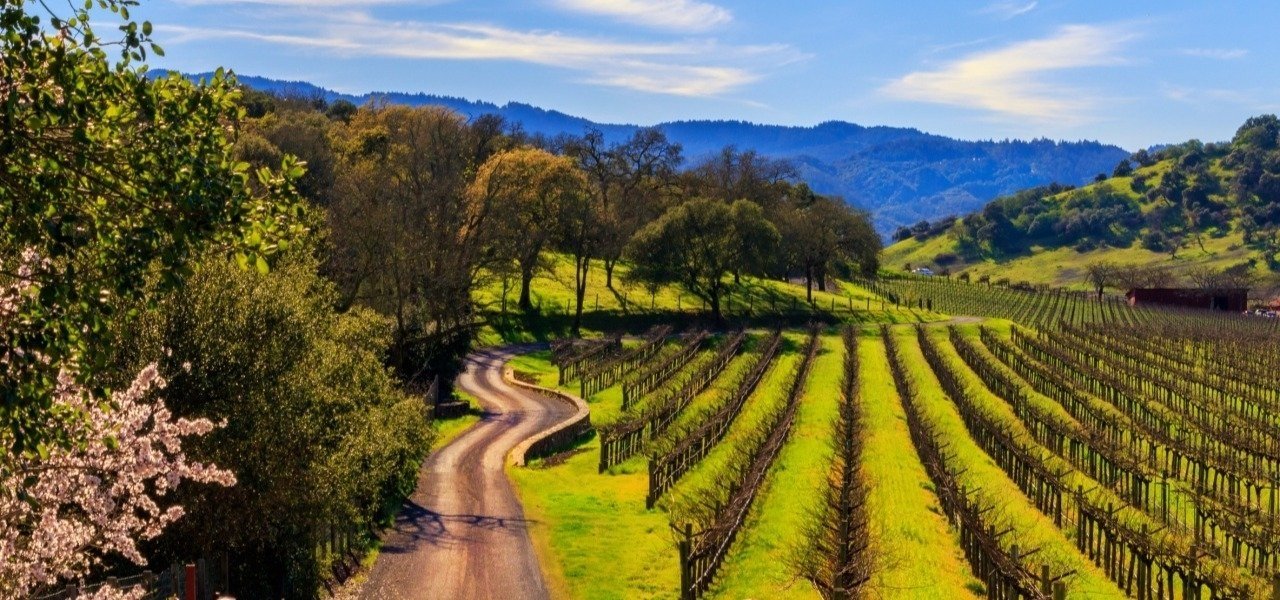 wine making tours napa valley