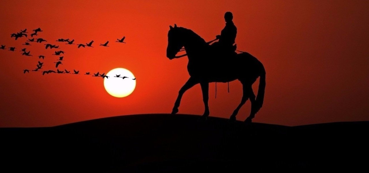 Horse Backriding - Wine Paths