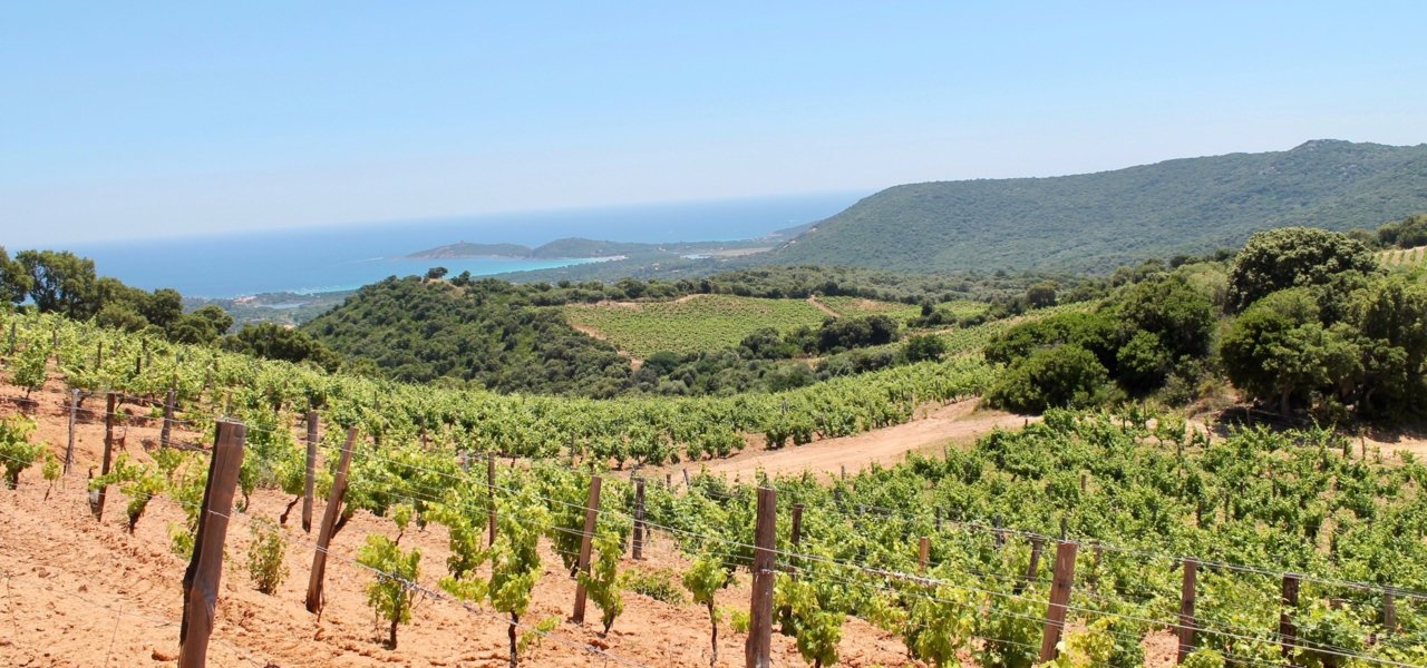 Luxury Wine Tour Chateauneuf Du Pape Wine Paths Luxury Wine Tour Chateauneuf Du Pape Wine Paths