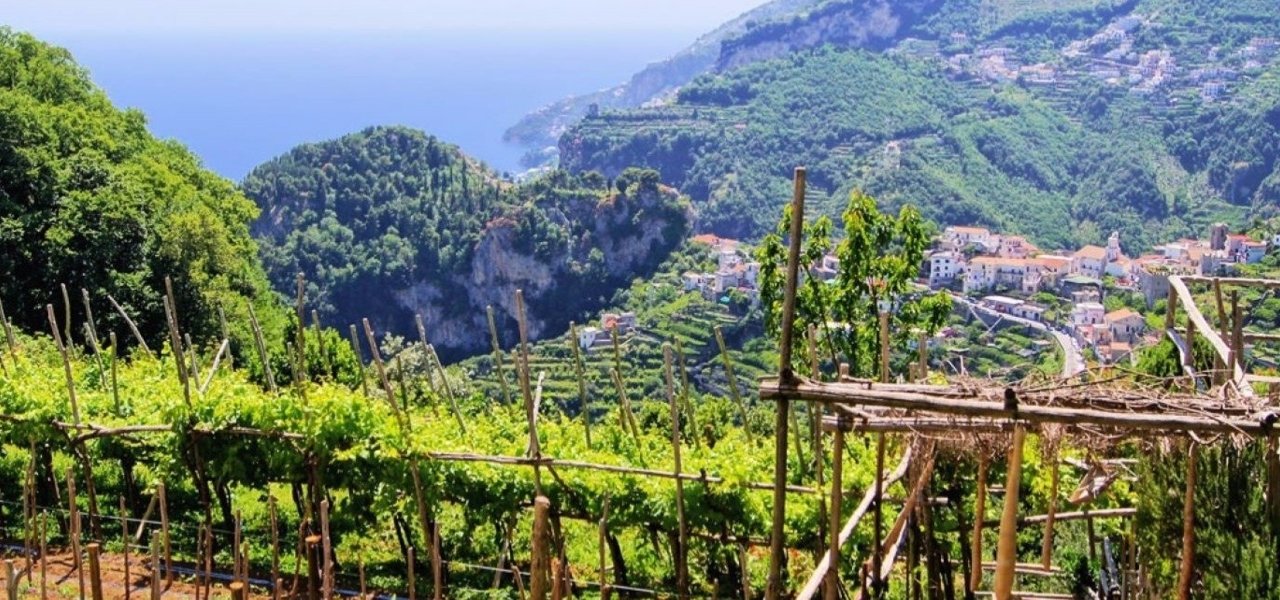 amalfi coast winery tours