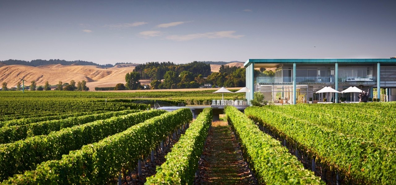 Bike Tour Of Hawkes Bay Wineries Wine Paths