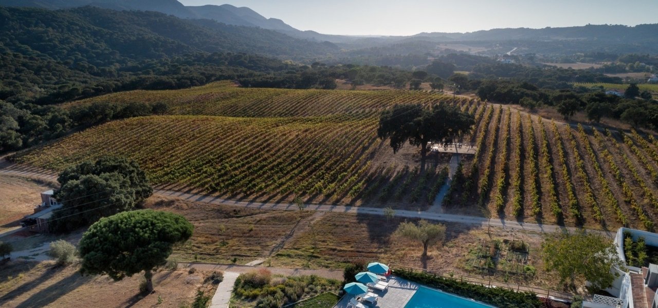 Landscape view from the hotel - Wine Paths