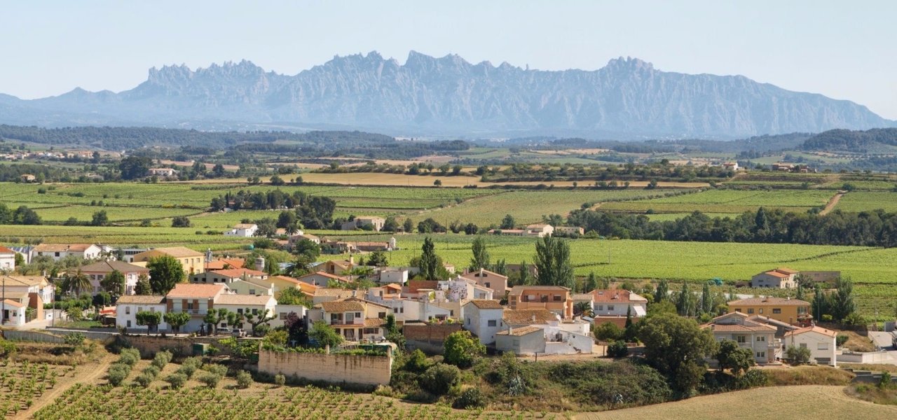 Penedes Region: vineyards protected by the Holy Montserrat Mountain.