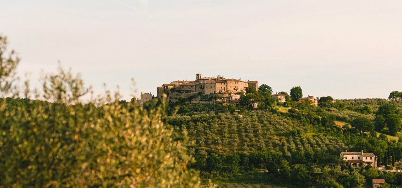 Aethos Saragano - Wine Paths