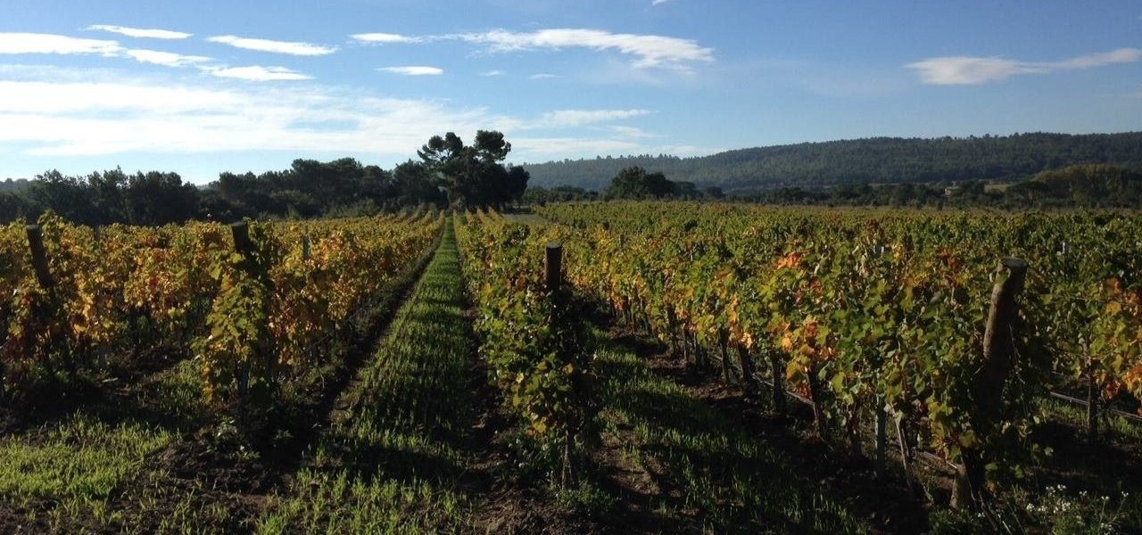 vineyard villa baulieu