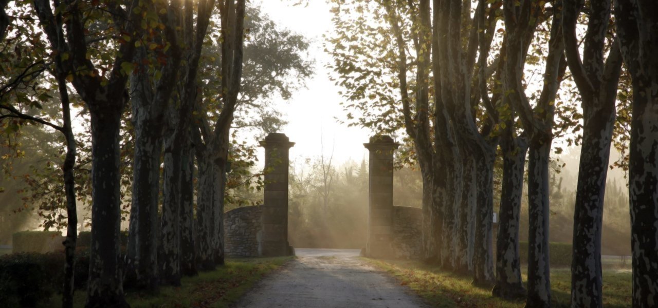 Entrance Chateau Guiraud