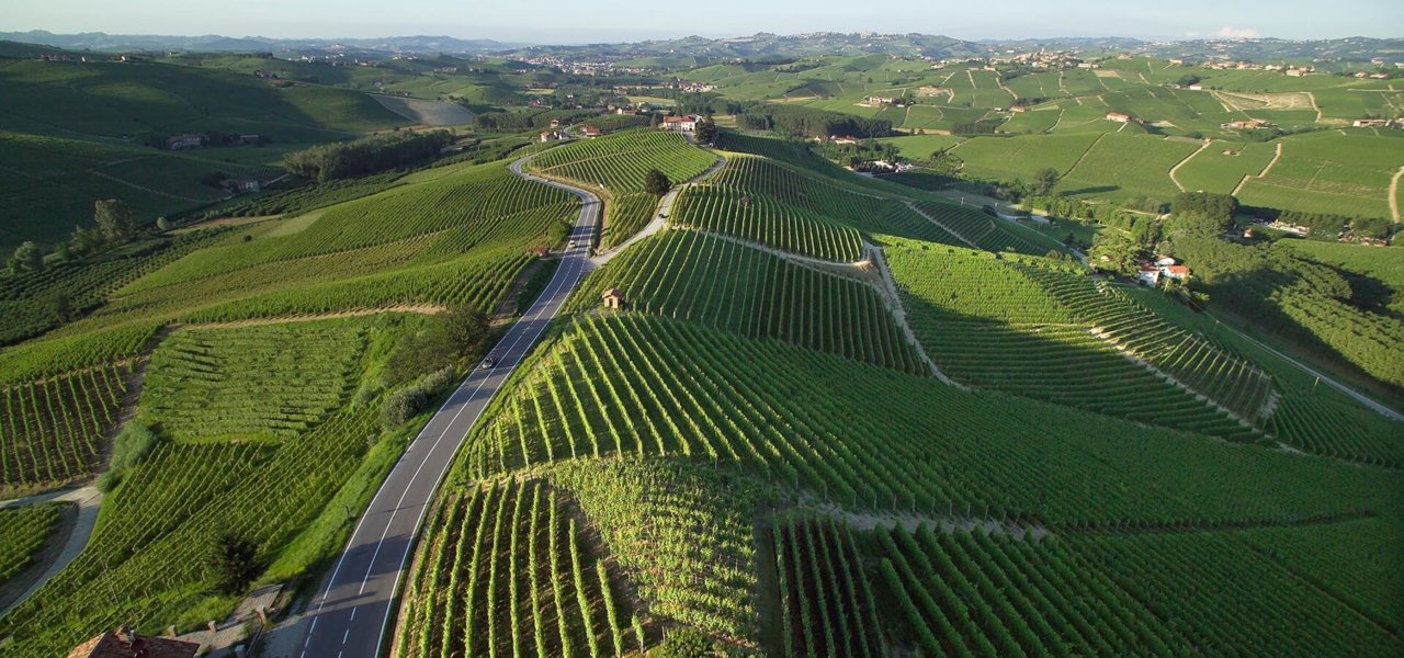 Langhe wine region