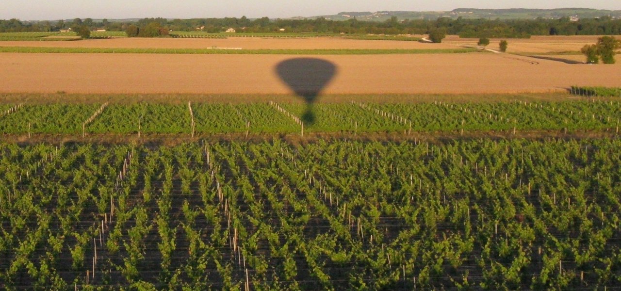Hot air balloon flight above Cognac vineyards -  Wine Paths