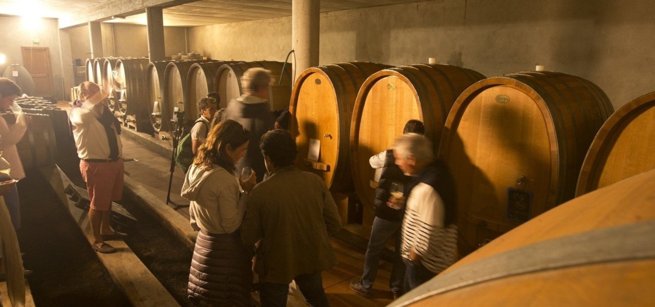 Wine tasting in a winery Domaine de Murtoli