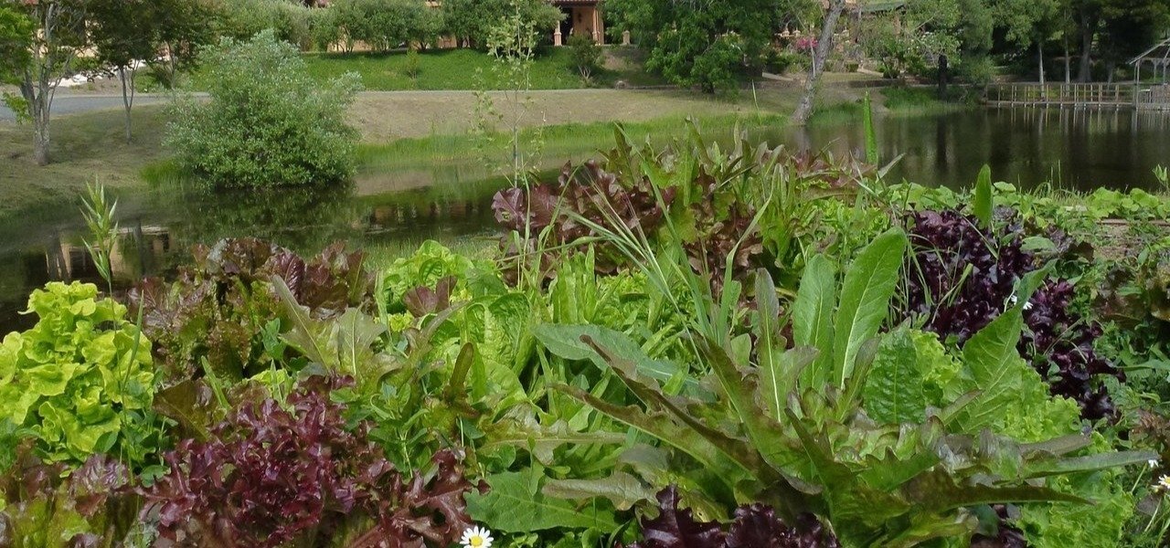 wine tourism at Acaibo - Wine Paths