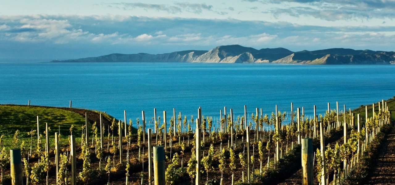 Guided New Zealand Bike Tours In Marlborough Wine Paths