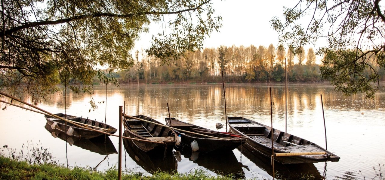 Loire Valley - Wine Paths