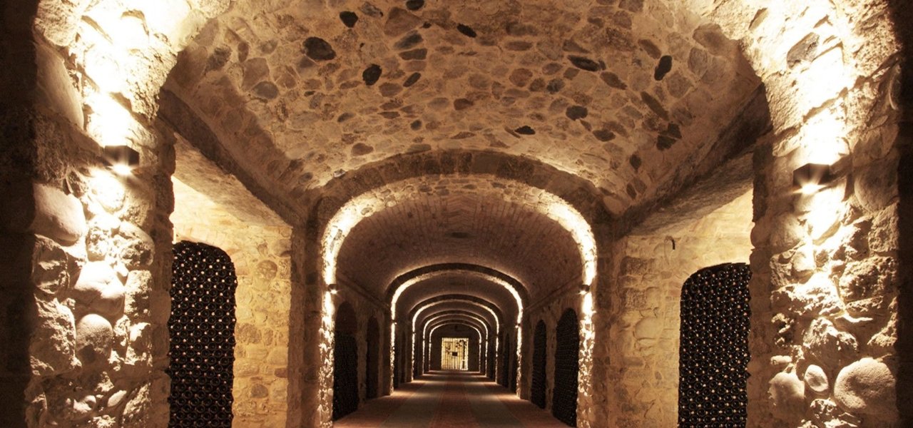 Underground winery cellar