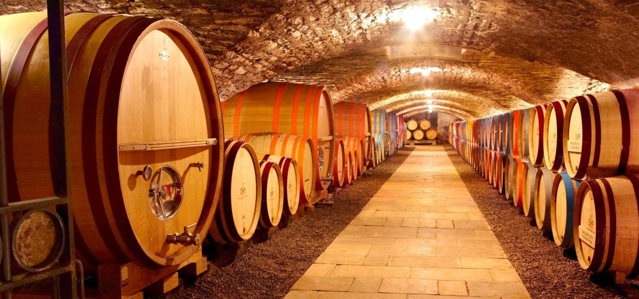 Coloured cellars dating from 14th century