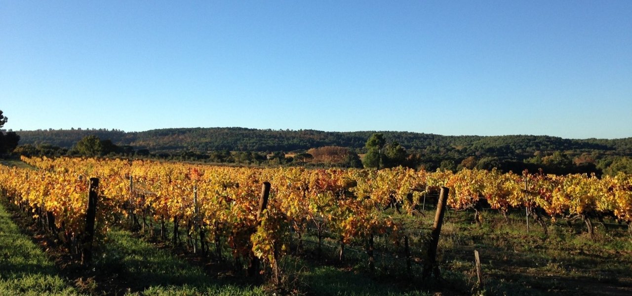 vineyard villa baulieu