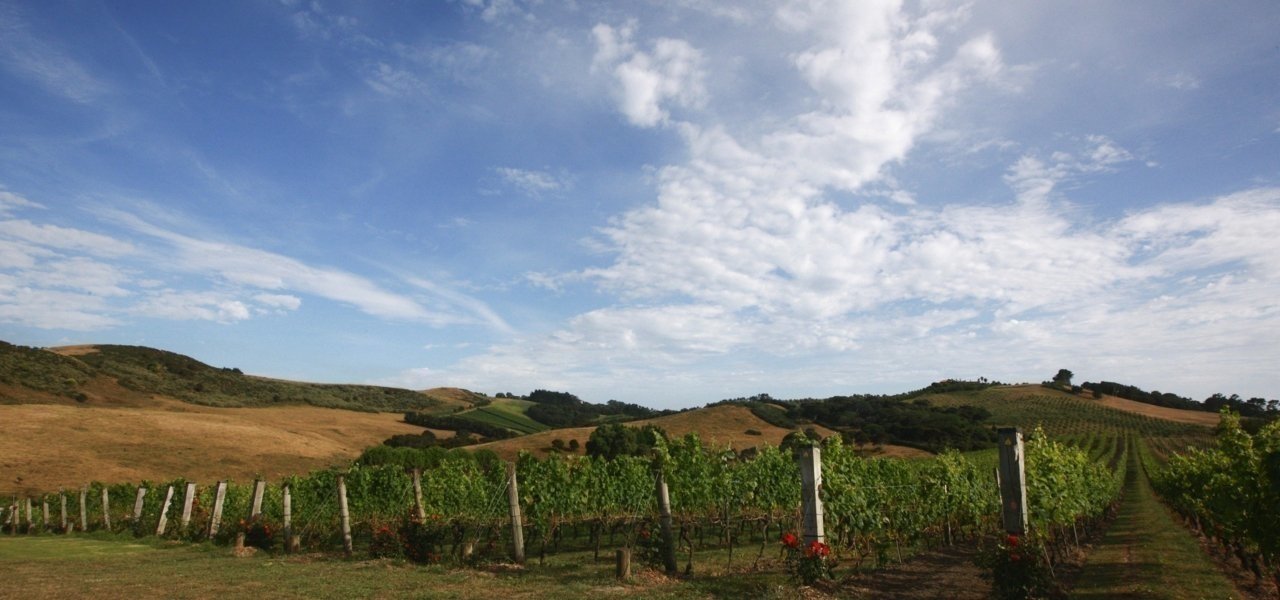 Stonyridge vineyards
