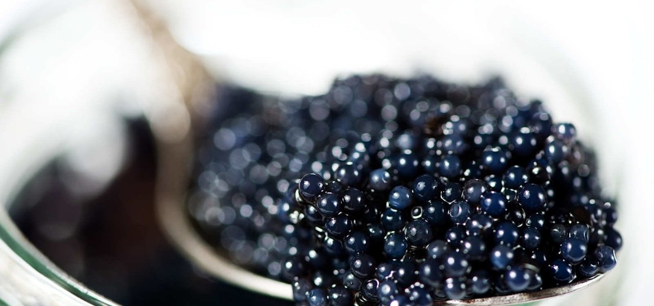 Caviar tasting