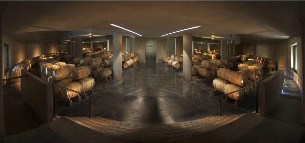 wine storehouses at bodegas diamandes
