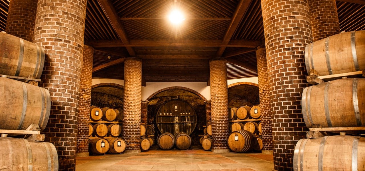 Winery cellar