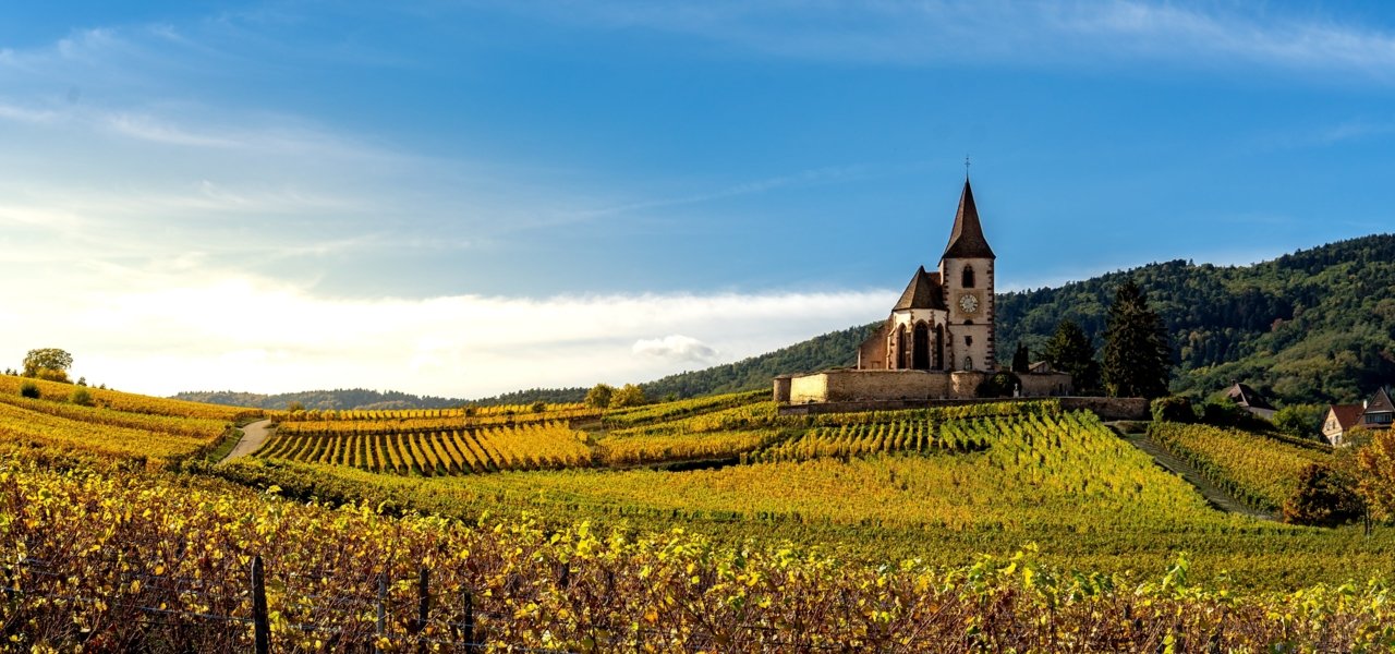 Mittelbergheim, ranked among "The Most Beautiful Villages in France"