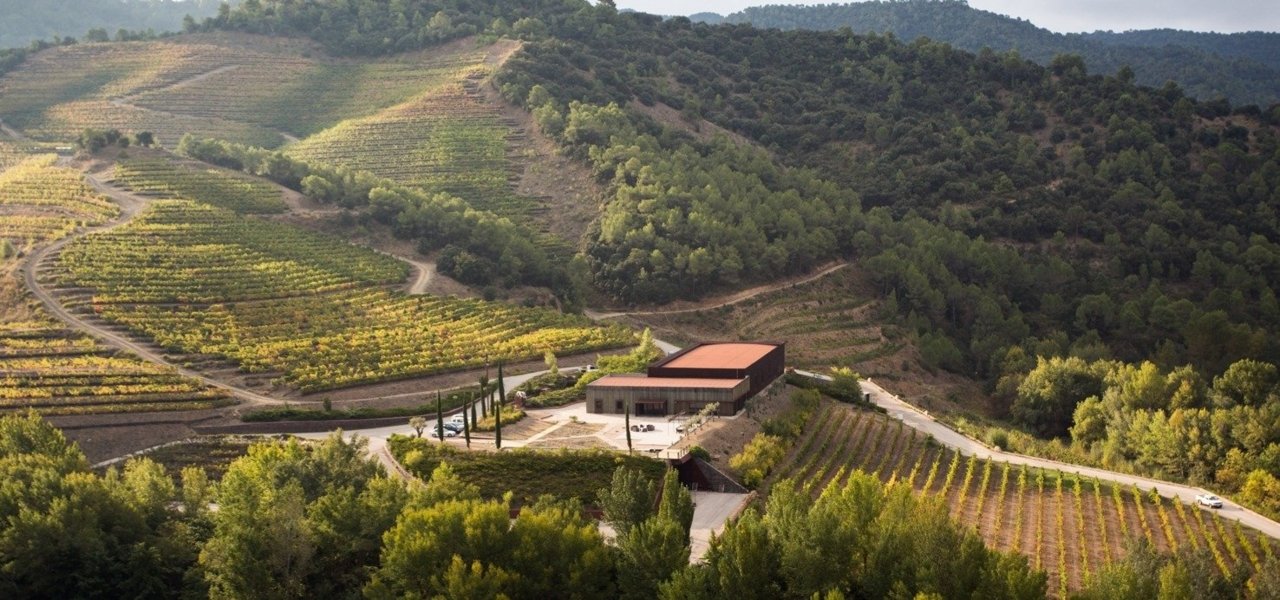 Catalonia wine tours - Wine Paths