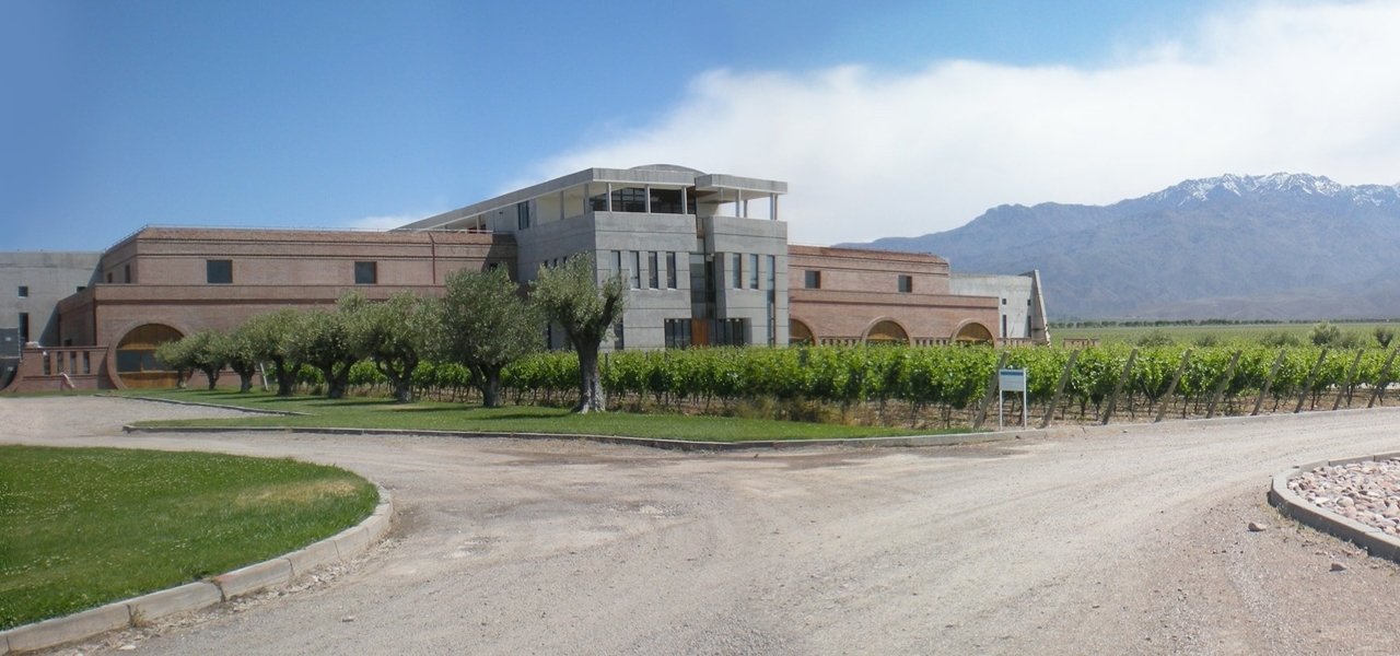 bodega monteviejo