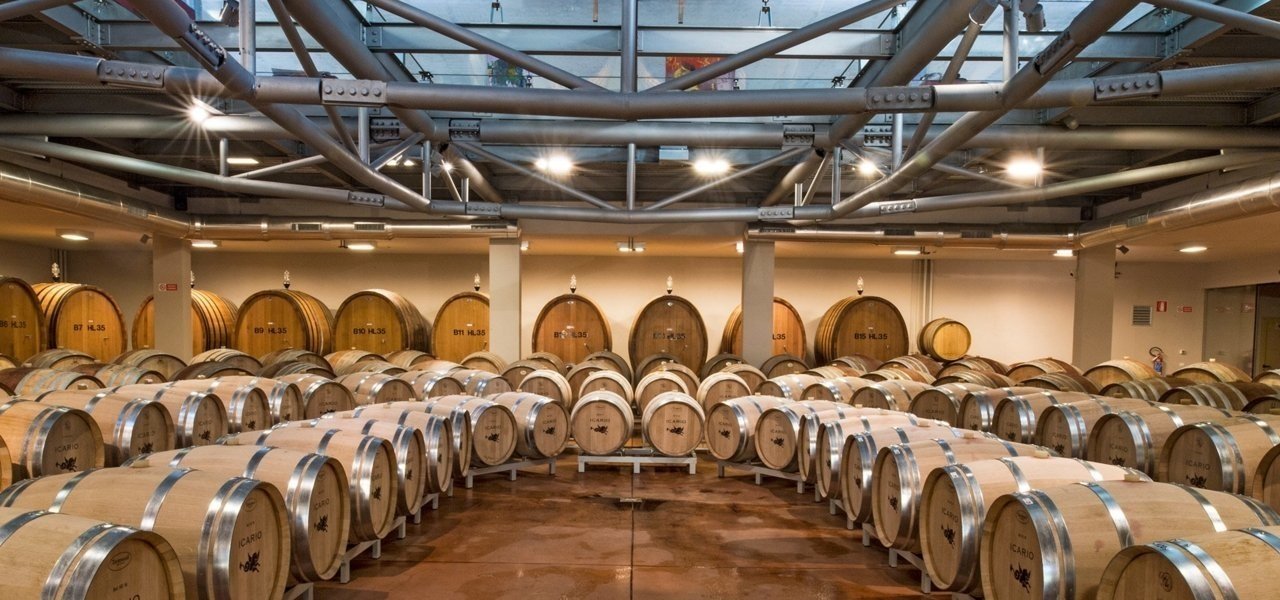 Cellar at Icario
