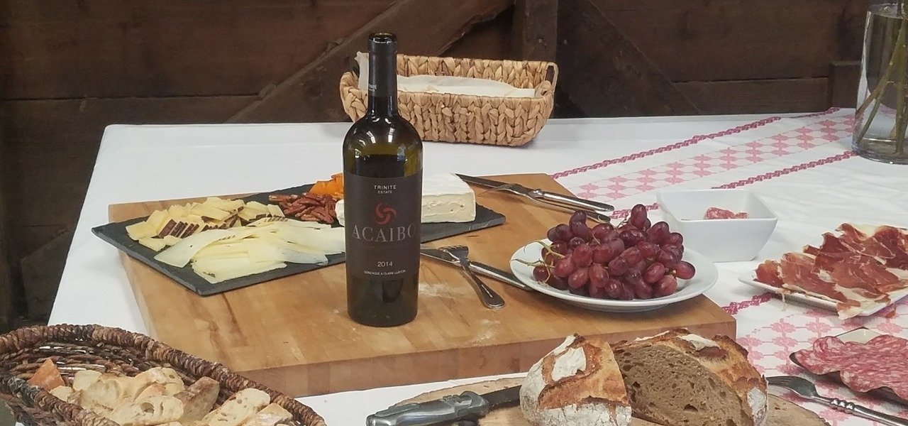 food and wine pairing at Acaibo, Napa Valley - Wine Paths