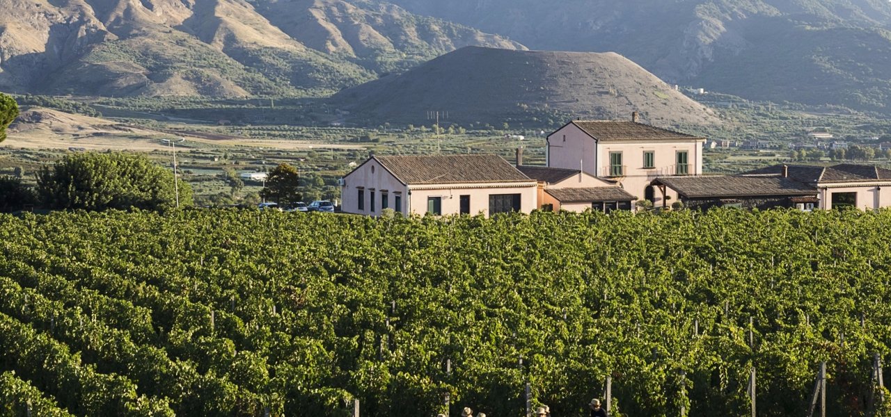 visit Cottanera Winery