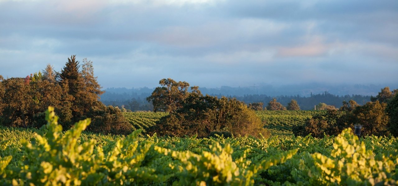 DeLoach Vineyards and the Russian River Valley