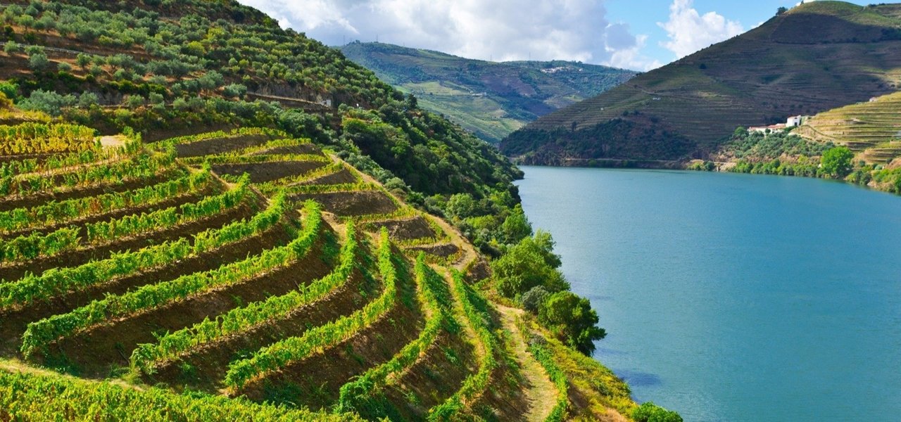 Local wine travel expert in Portugal