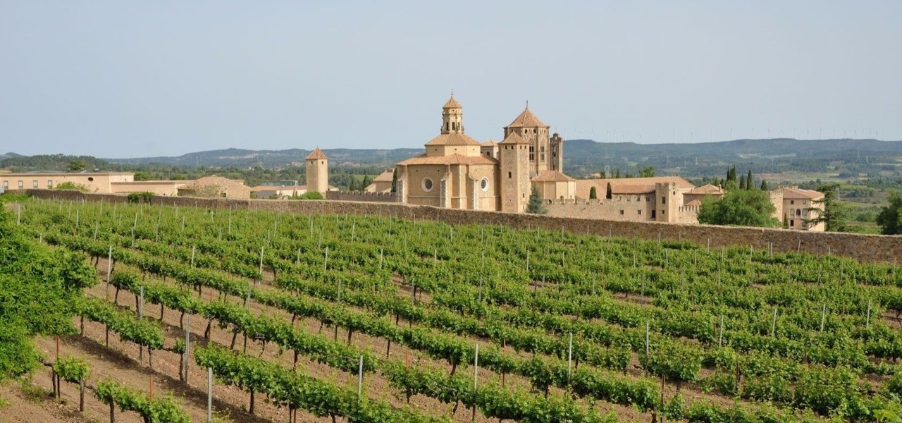 Poblet Cister Monastery SXII, among vineyards next to Priorat region