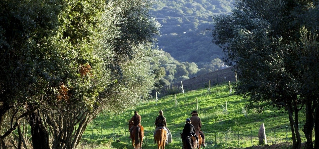 Horseback riding - Domaine de Murtoli