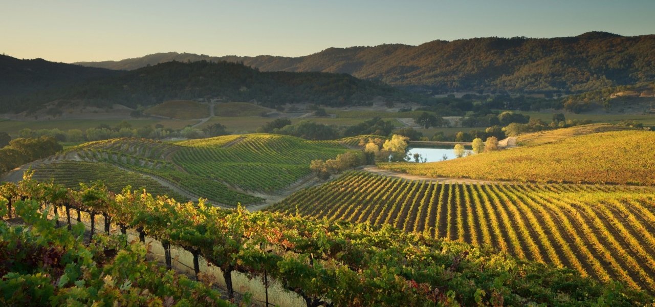 Napa Valley and San Francisco wine tour Wine Paths
