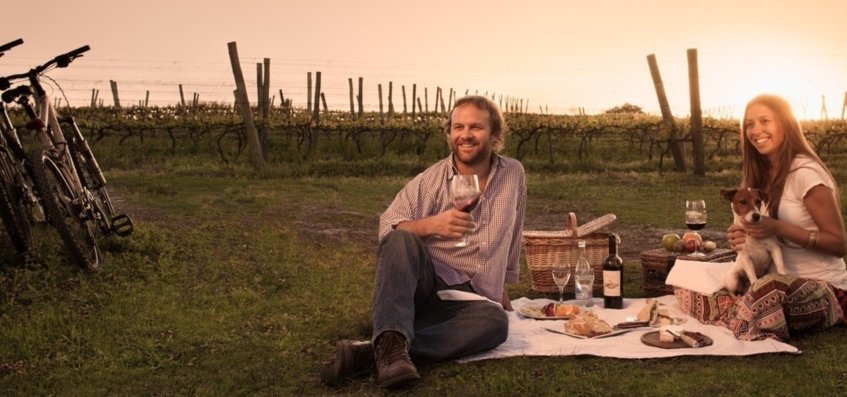 picnic chic uruguay - Wine Paths