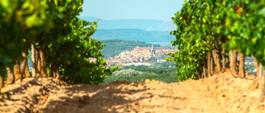 Spain Rioja Landscape