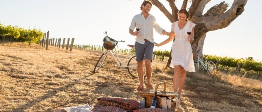 Jacobs Creek picnic - Wine Paths