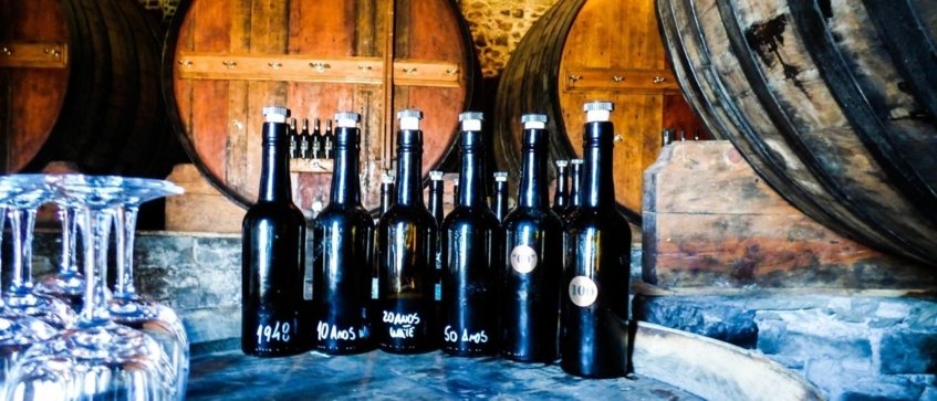 Porto wine tours - Wine Paths
