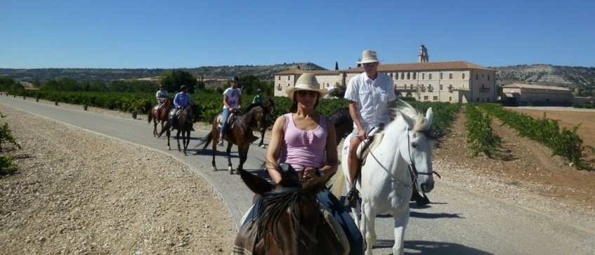 luxury horse riding experience - Wine Paths