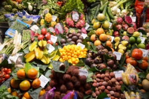 gourmet food tour in barcelona - Wine Paths