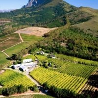 Partner Award-winning wines in the heart of the Cape Winelands photo