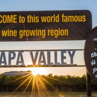 Tom, Napa Valley Local Expert