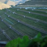 Partner The home of Quinta do Noval Nacional Vintage Port photo