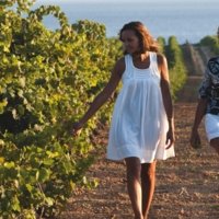 Local wine travel expert in Sicily