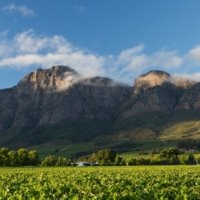 Rupert & Rothschild Vignerons