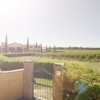 Partner Passion and precision united in harmony photo