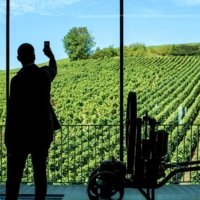 Partner Discover a different Champagne experience photo