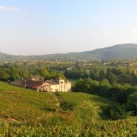 Philip, Rhône Valley Local Expert - Wine Paths