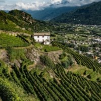 Casa Vinicola Nino Negri