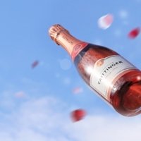 visit Champagne Taittinger